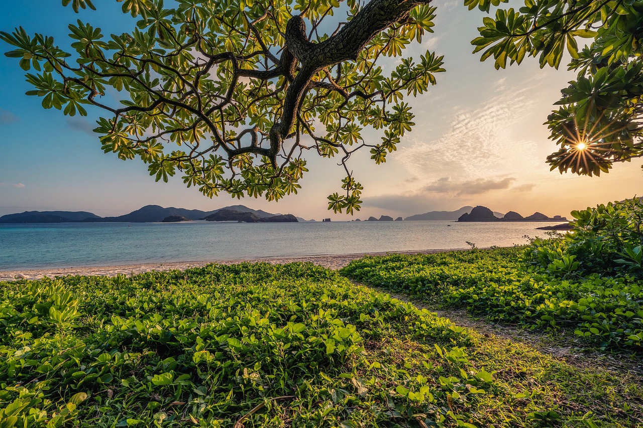 Coastal landscape at sunset symbolizing quiet power in friendship—serene strength, emotional boundaries, and peaceful connection.